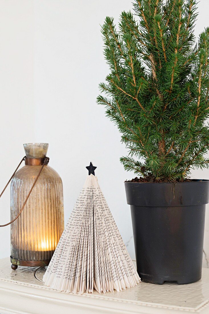 Small potted conifer next to origami Christmas tree