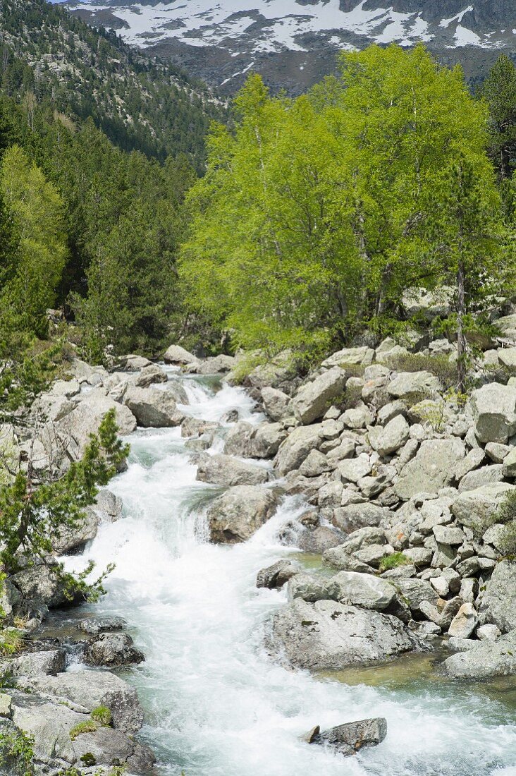 Mountain stream in the Aigüestortes national park in the Pyrenees, Catalonia, Spain