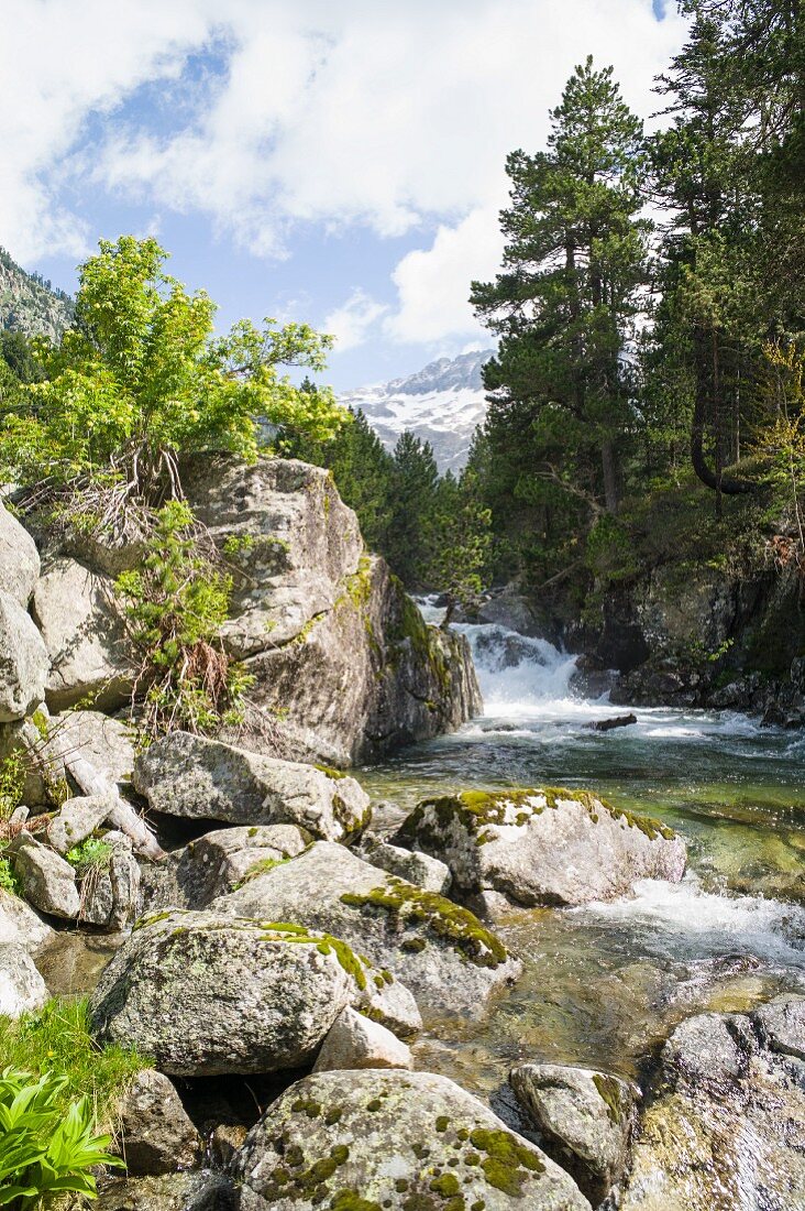 Mountain stream in Aigüestortes national park, Catalonia, Spain