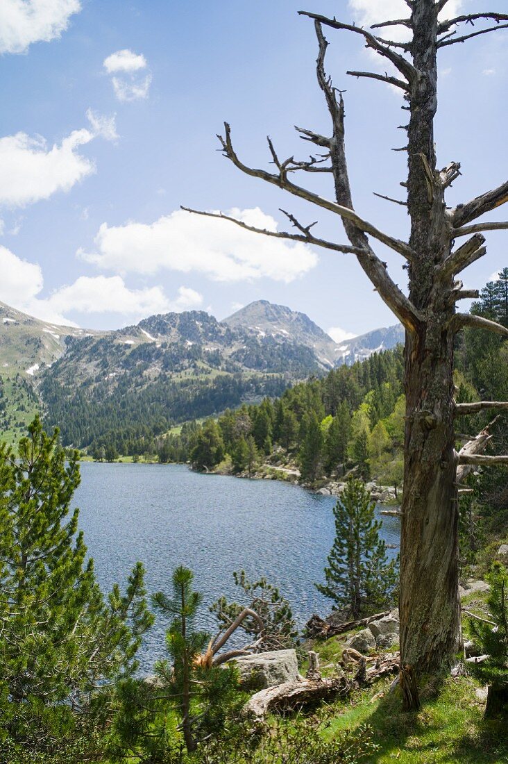 Estany Llong lake in Aigüestortes national park in the Pyrenees, Catalonia, Spain