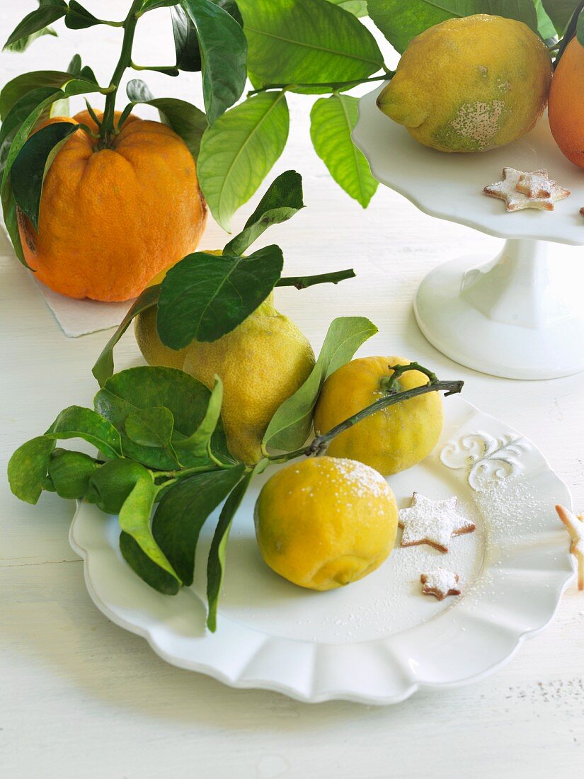 Various organic citrus fruits with leaves