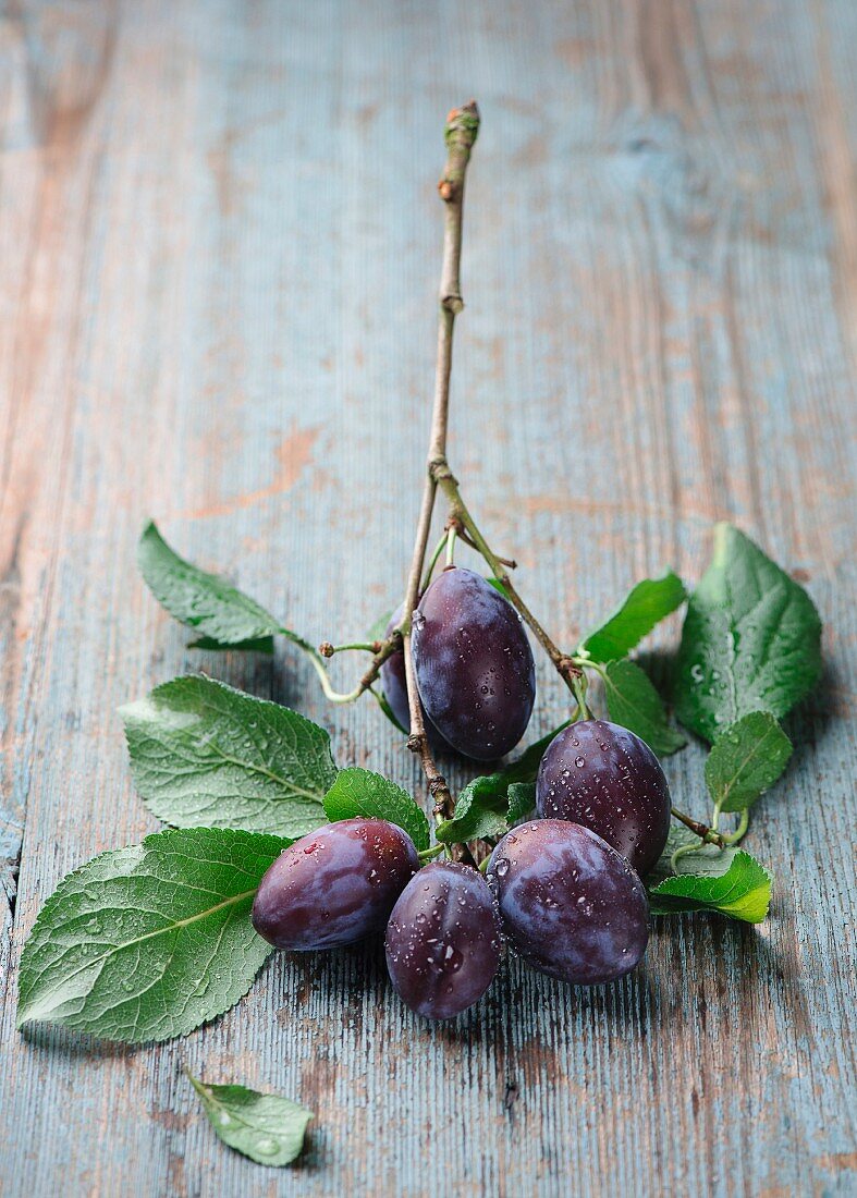 Damson with leaves on a sprig on a wooden surface