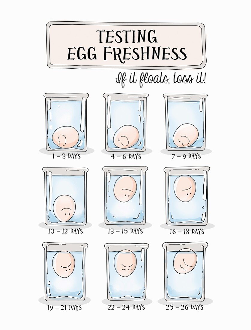 Illustration von Eierfrischetest