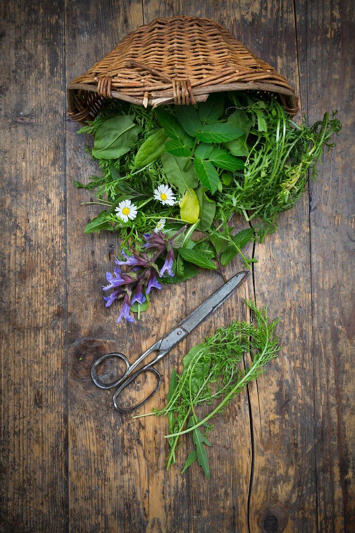 A basket of various wild herbs and edible flowers (seen from above)