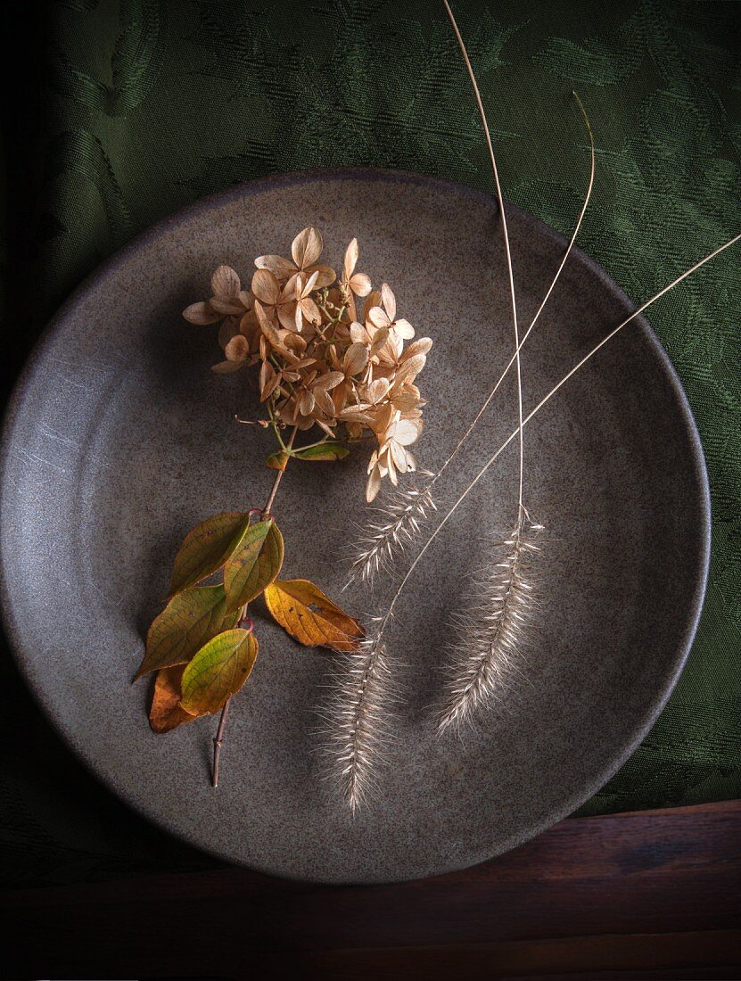 An autumn hydrangea flower and grasses on a plate (seen from above)