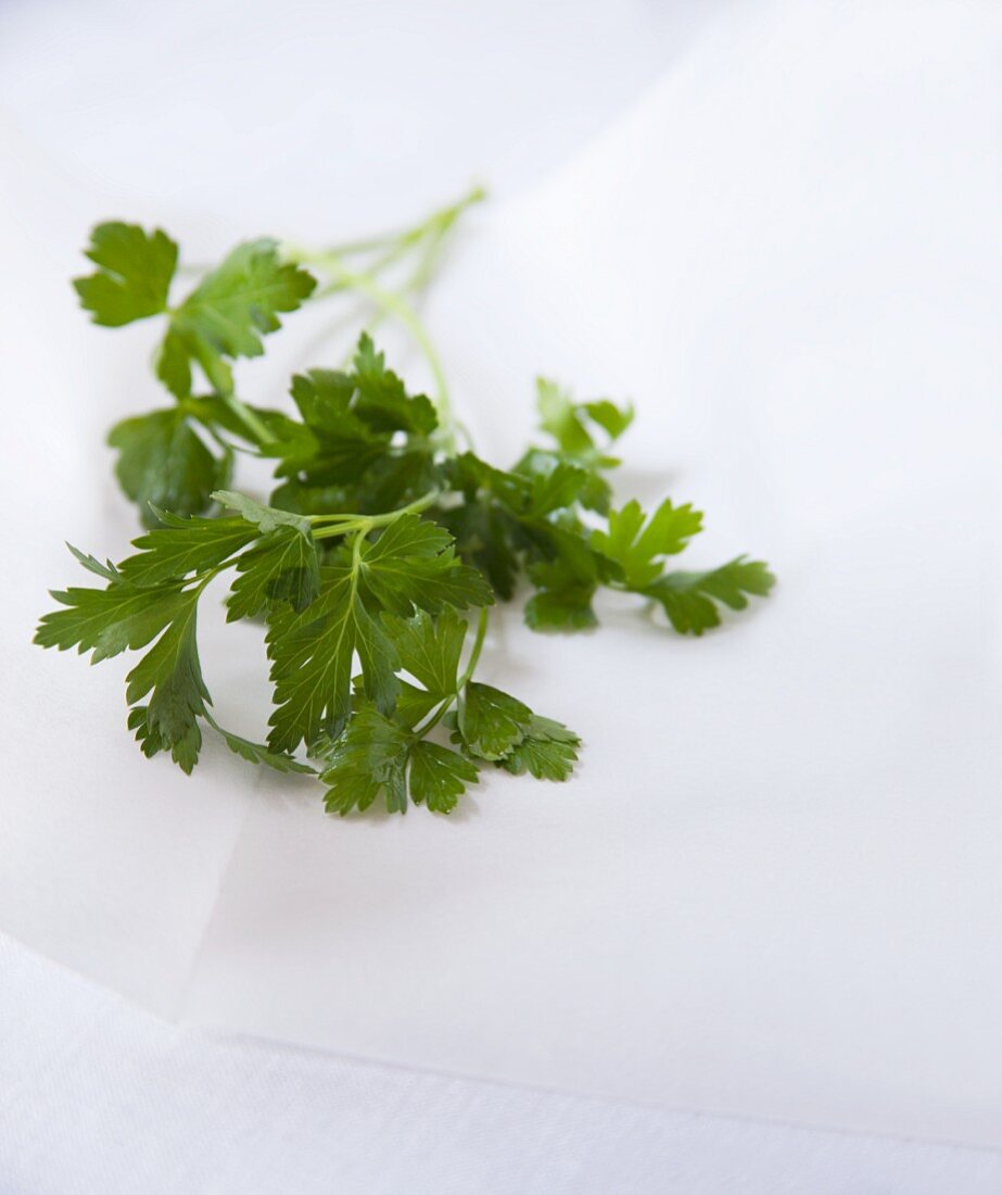 Fresh parsley on white parchment paper