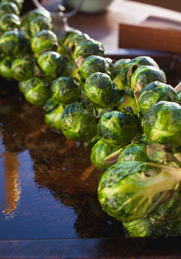 Roasted Brussels sprouts on a stalk