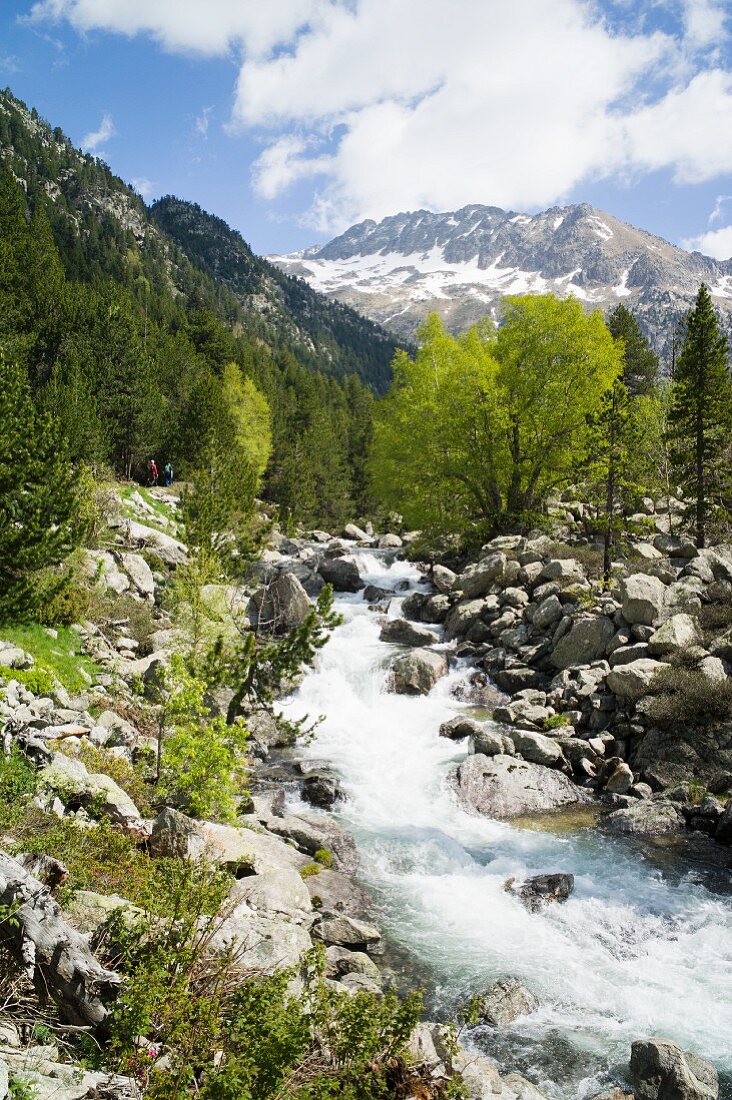 Nationalpark Aigüestortes, Wildbach, Fluß, Katalonien, Spanien