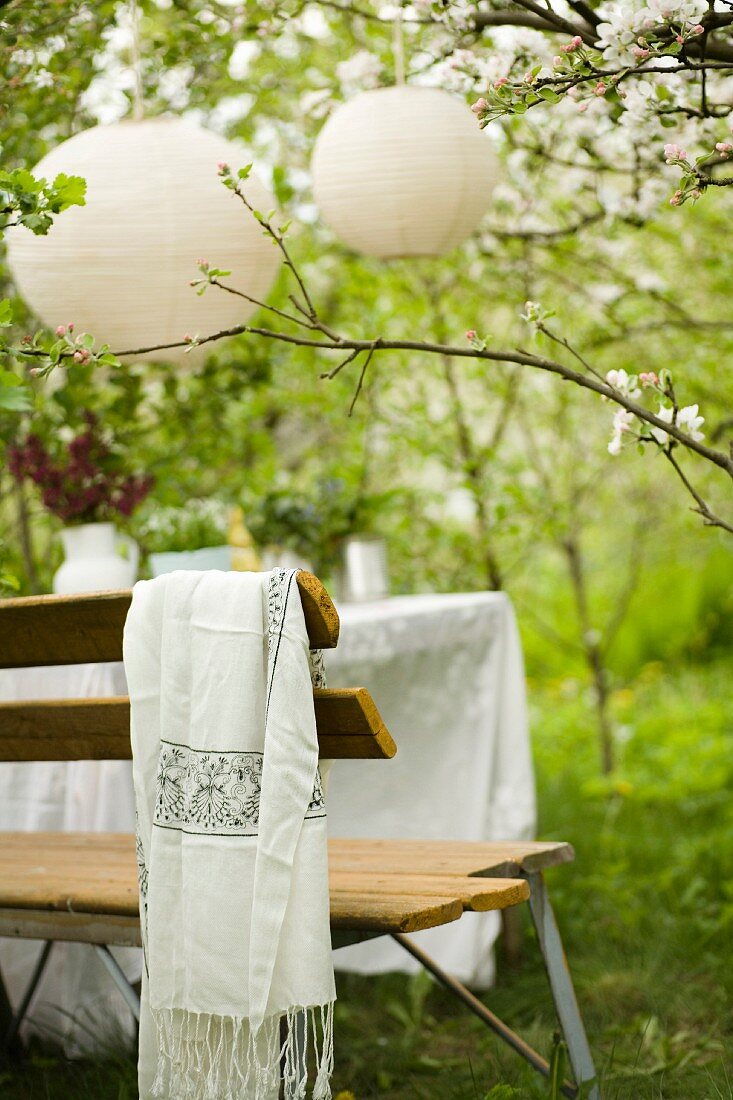 Garden bench below lanterns hanging in blossoming fruit tree