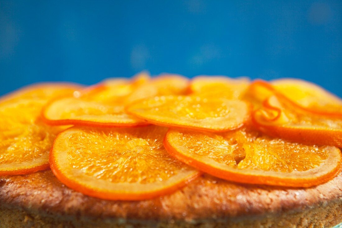 Orangenkuchen vor blauem Hintergrund (Ausschnitt)