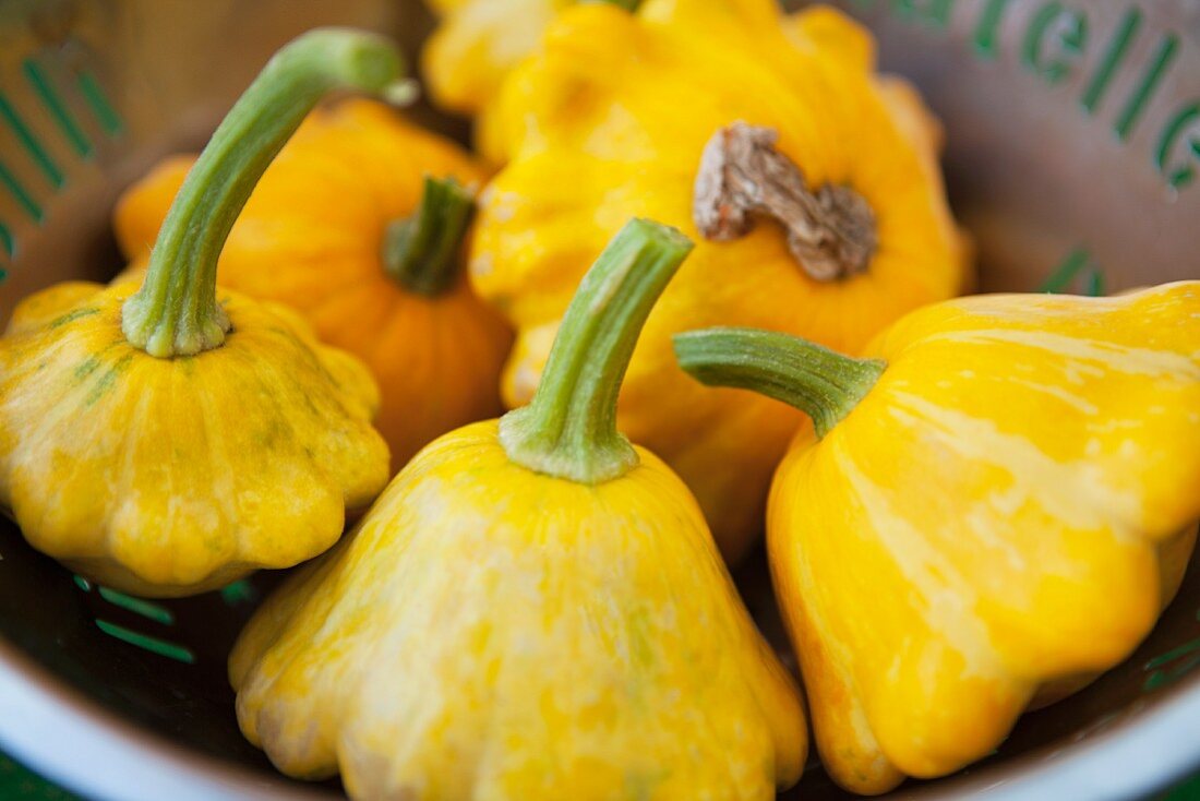 Fresh organic squash in a colander