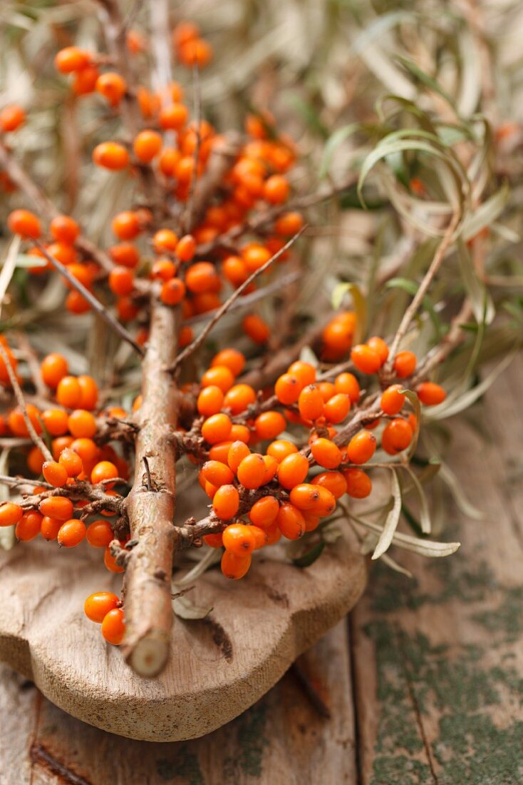 A sprig of sea buckthorn berries on a wooden surface