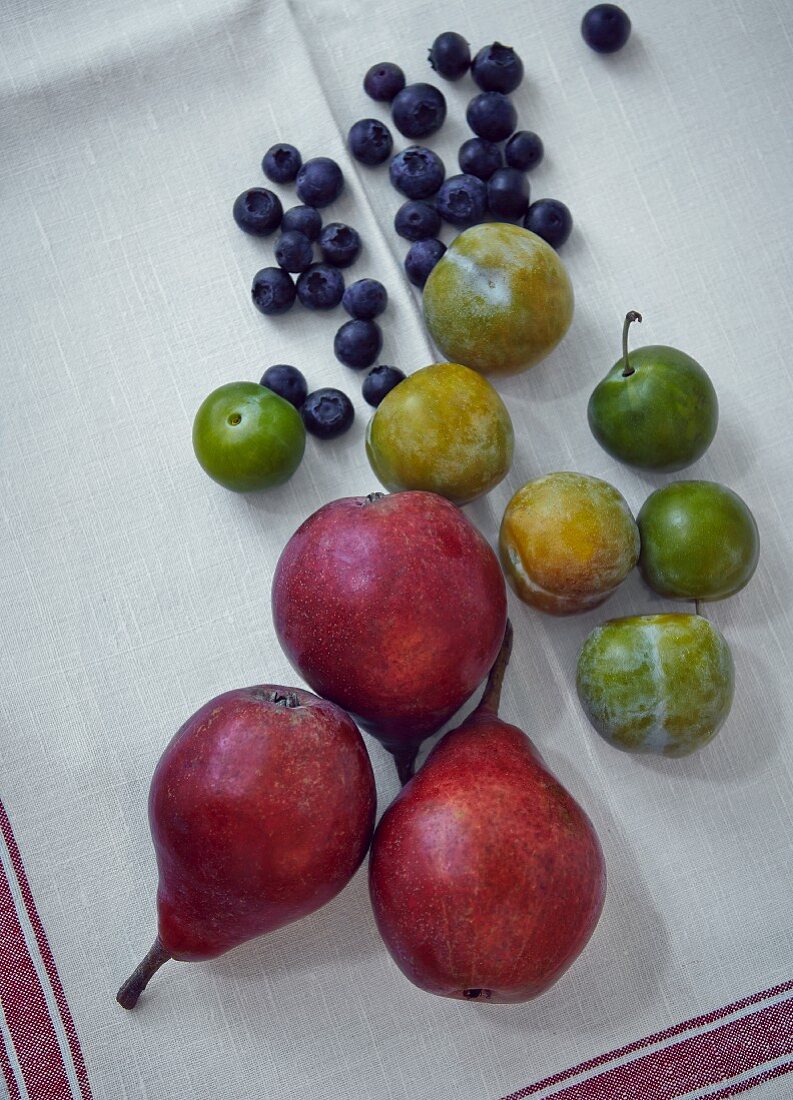 Birnen, Reineclauden und Heidelbeeren auf weißem Tischtuch