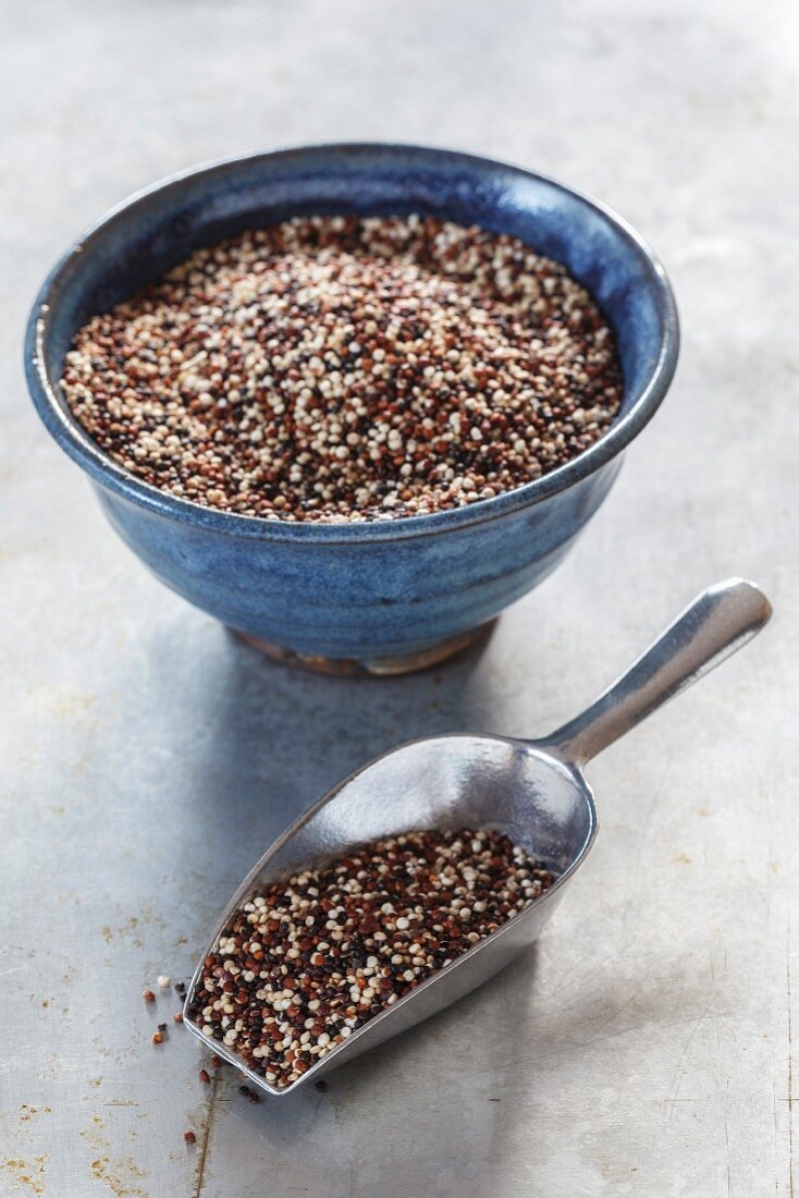Ungekochtes Quinoa der Sorte Tricolor in Schüssel & auf Schütte