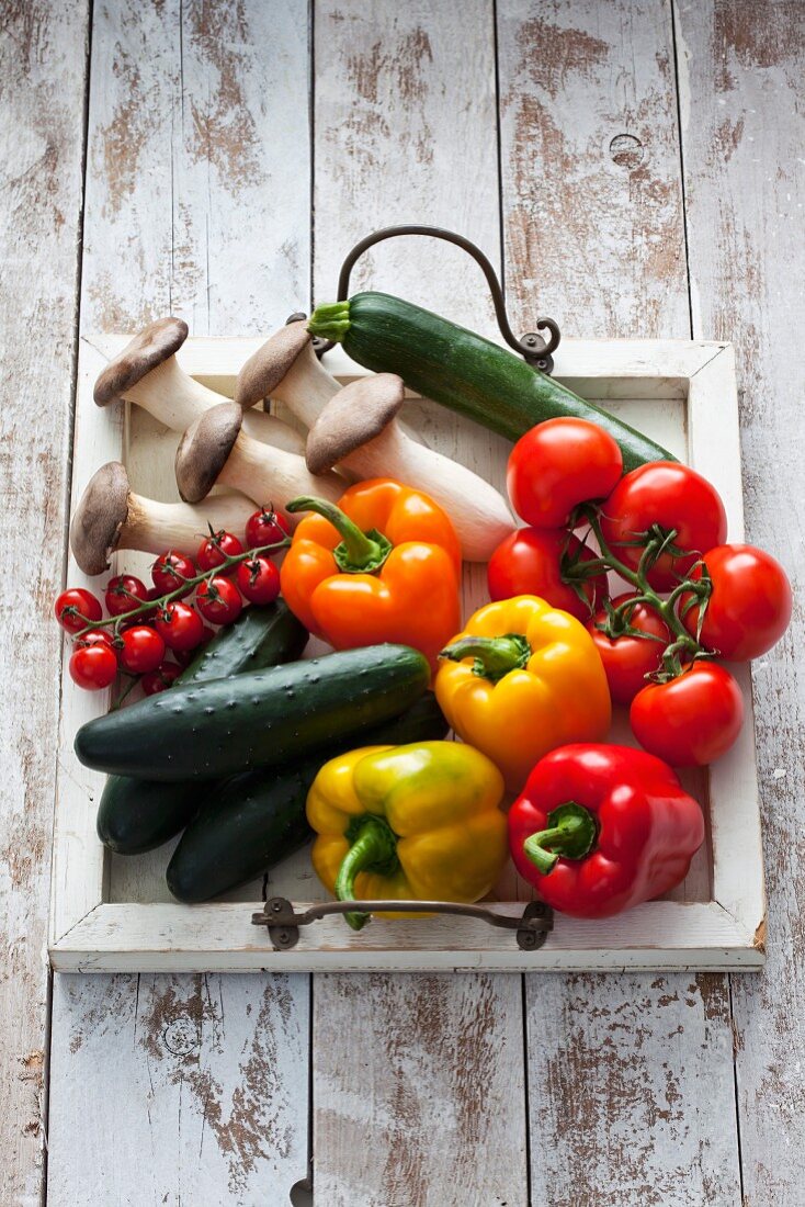 Gemüsestillleben mit Kräutersaitlingen, Zucchini, Tomaten, Papirka & Gurken
