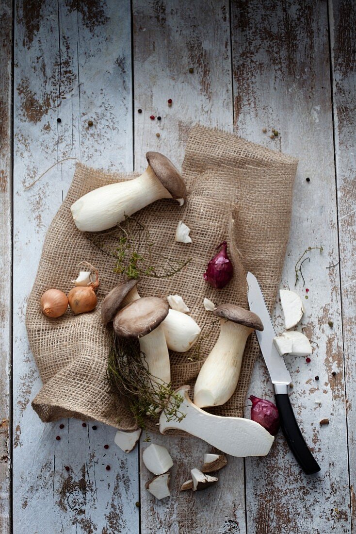 Kräutersaitlinge mit Zwiebeln & Kräutern auf Sackleinen (Aufsicht)