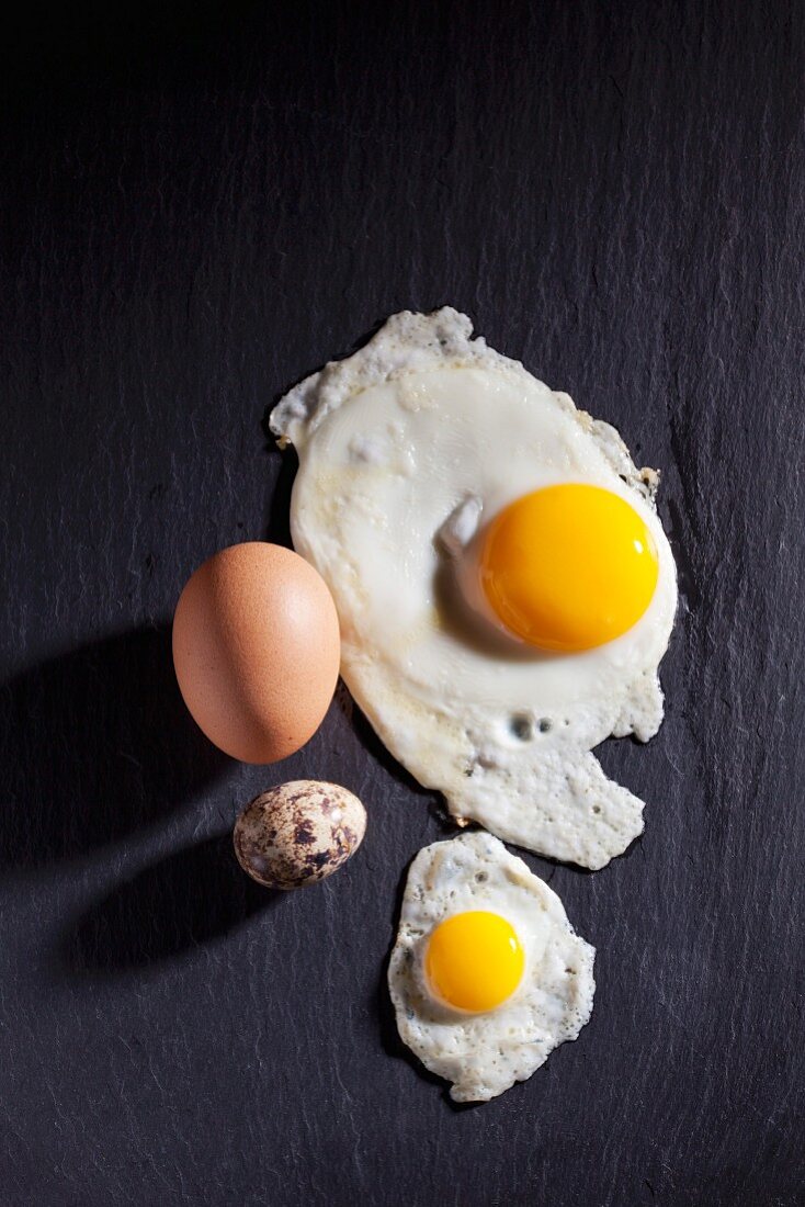 A hen's egg and a quail's egg: whole and as fried eggs (seen from above)