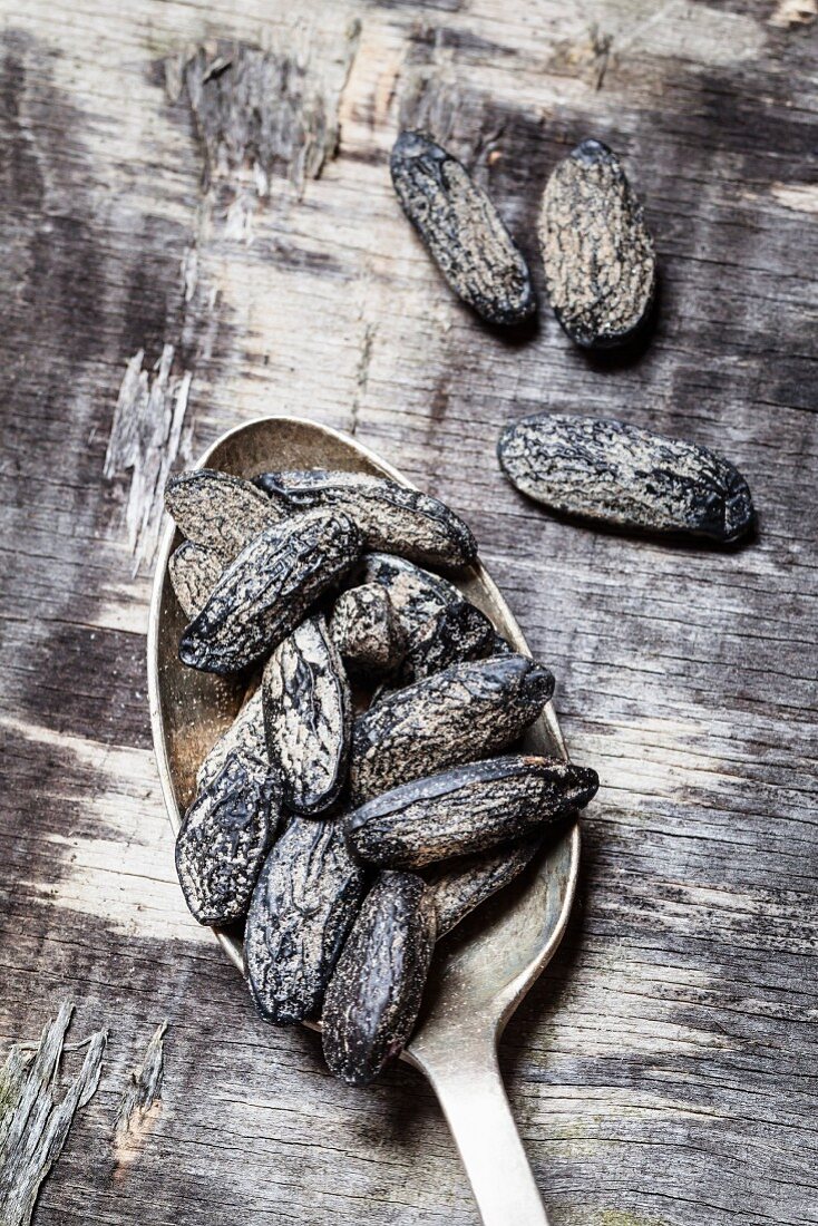 Tonka beans on a spoon