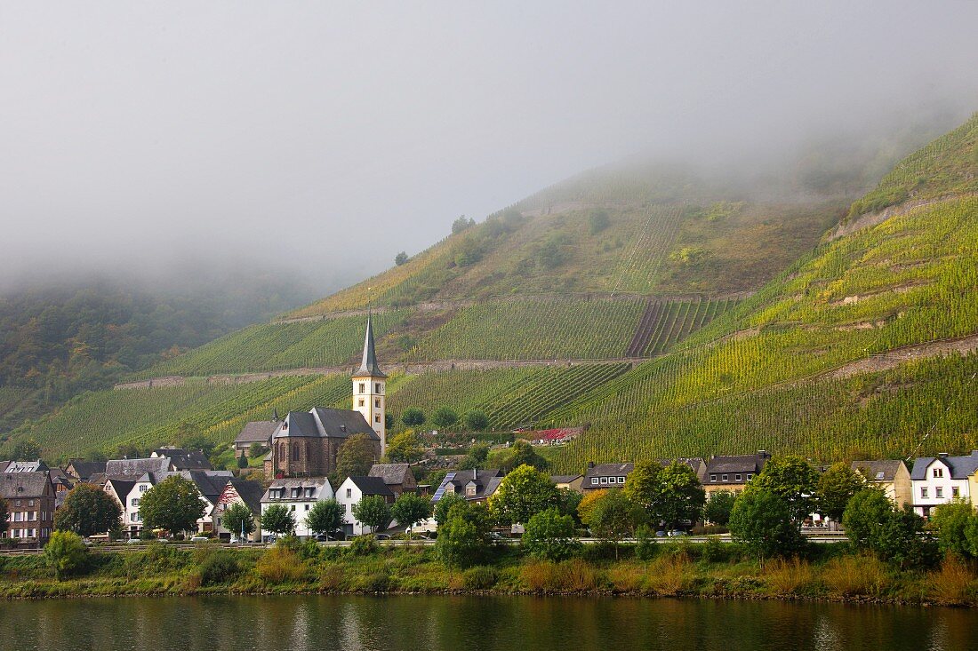 Wine-growing town of Bremm with vineyards in the mist, Rhineland Palatinate, Germany