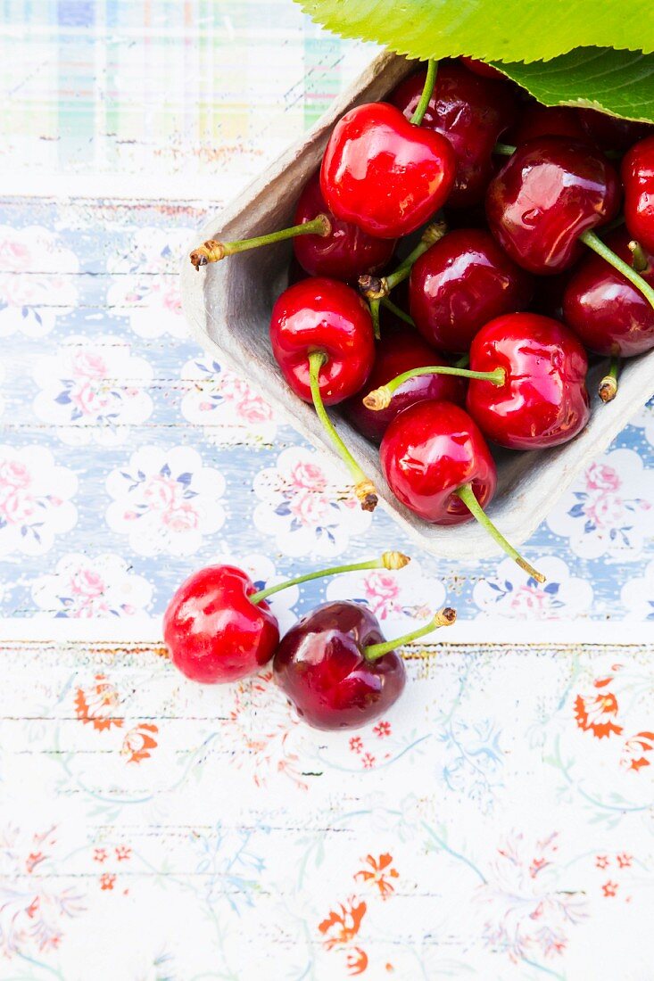 Fresh organic cherries in a paper punnet (seen from above)