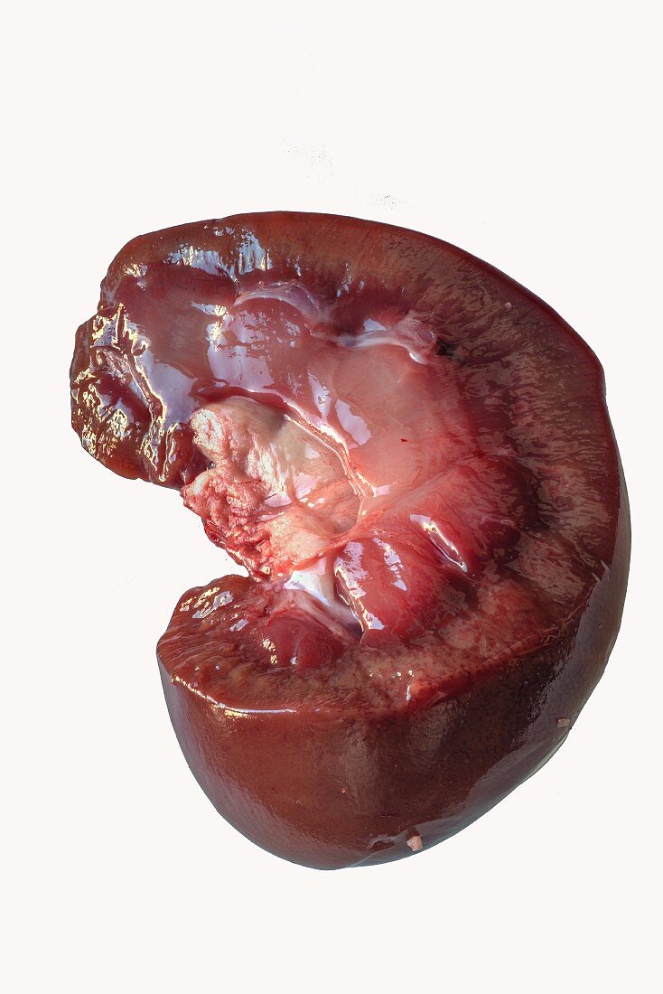 A fresh kidney