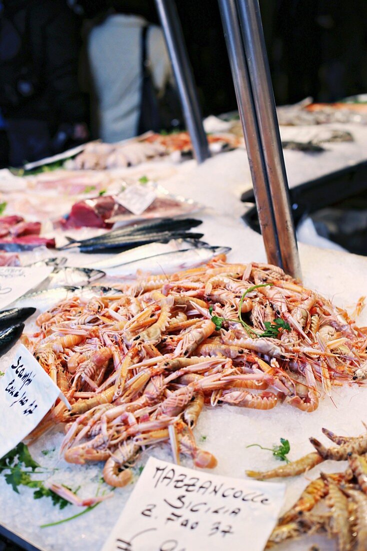 Scampi auf Fischmarkt in Venedig