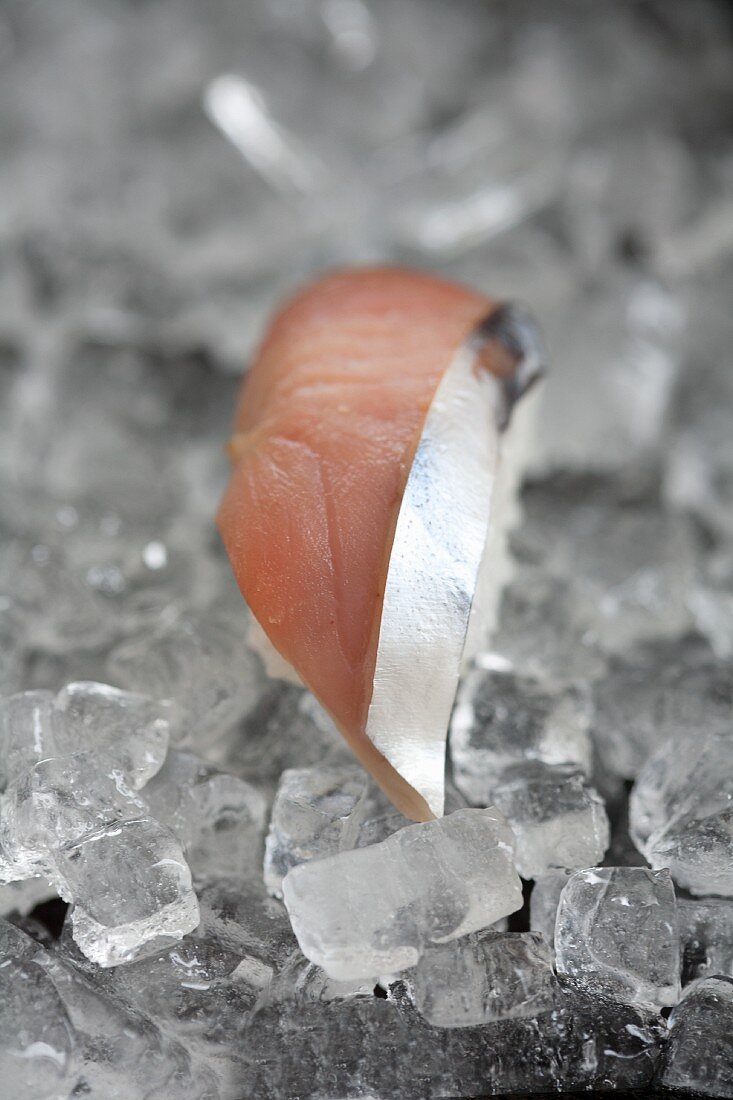 Nigiri sushi with tuna fish on ice