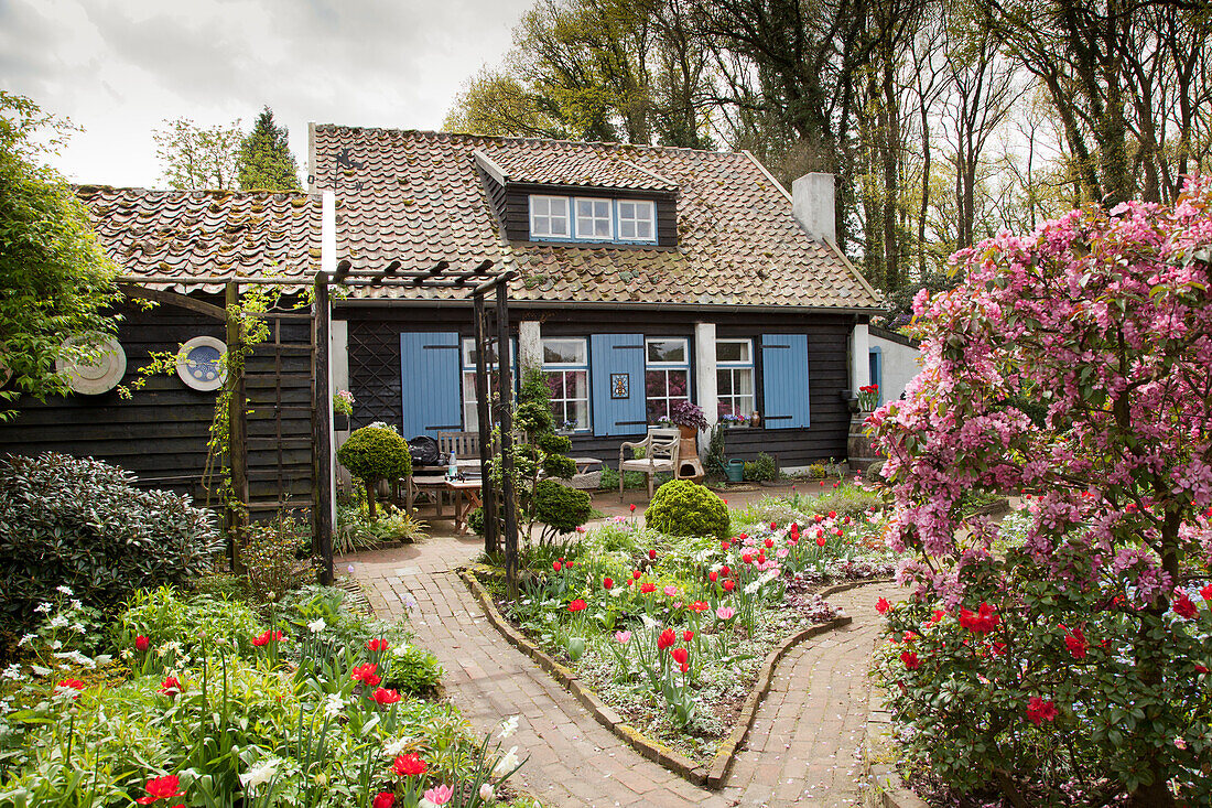 Blühende Blumenbeete im Garten, im Hintergrund Holzhaus mit blauen Fensterläden und Terrasse