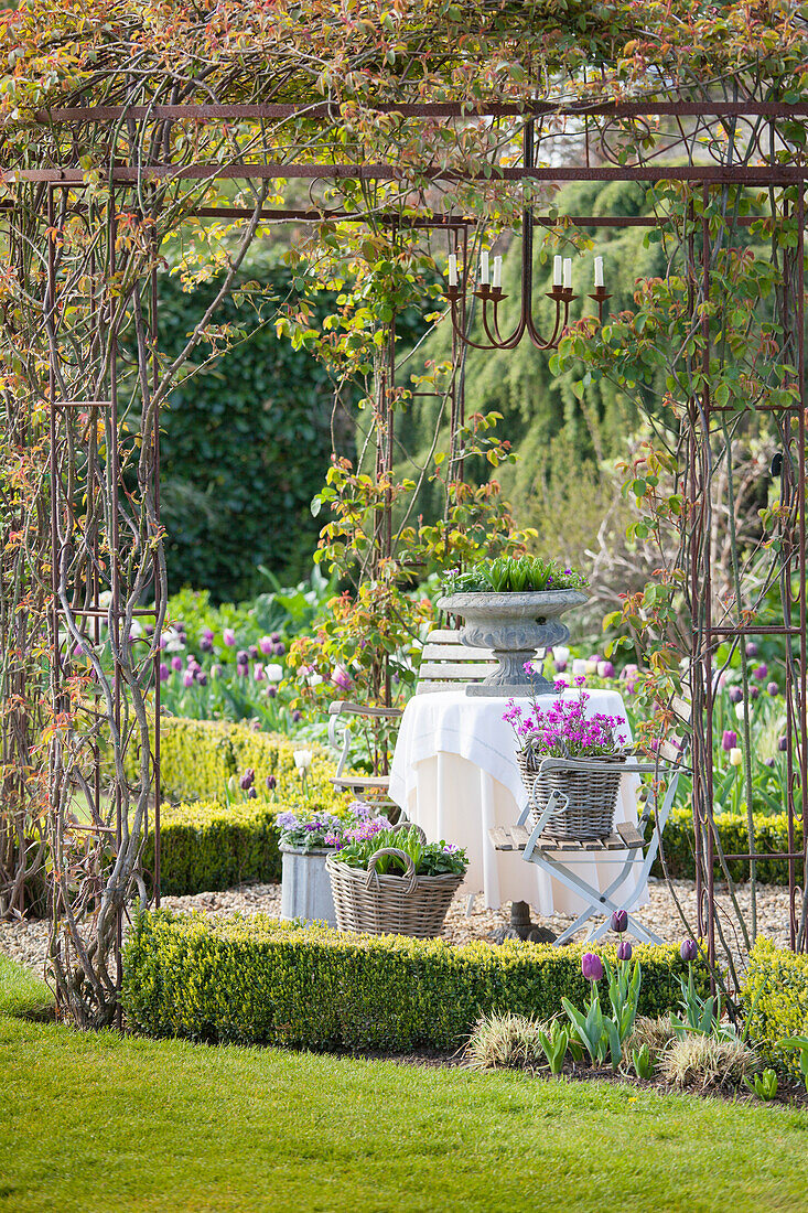 Garten im Frühling mit romantischem Sitzplatz unter bewachsenem Pavillon