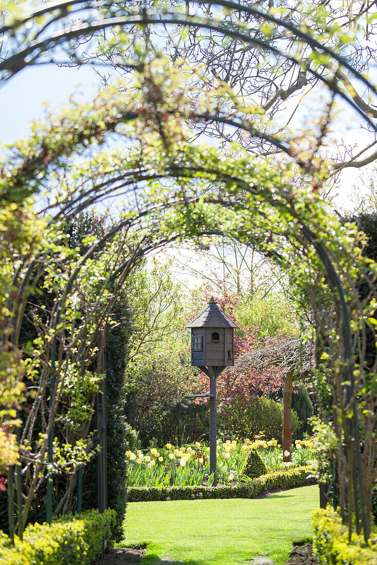 Climber-covered trellis arches framing dovecot in spring garden