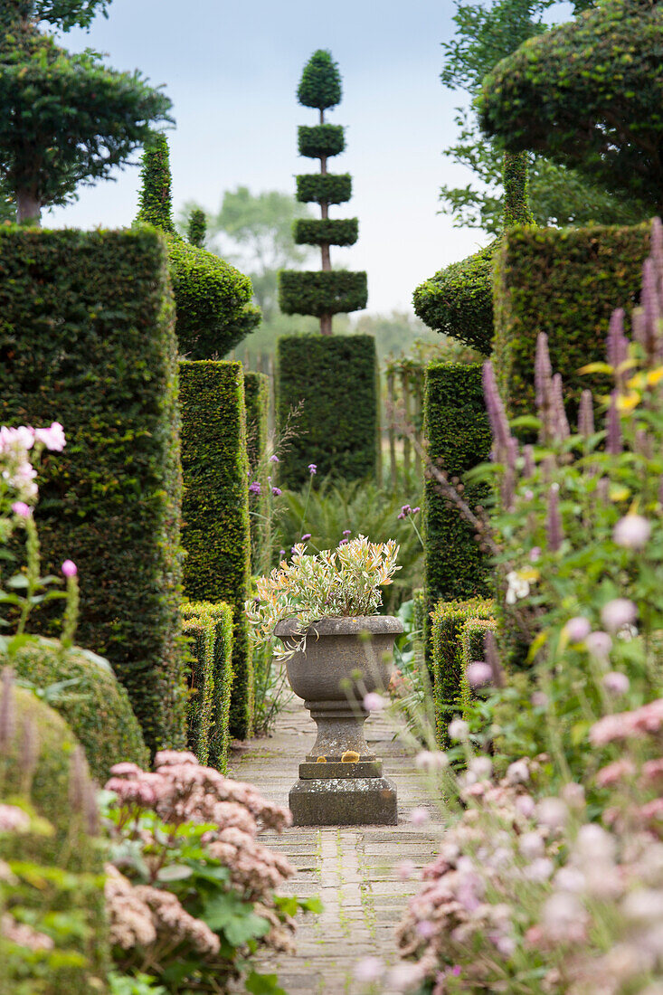 Magnificent topiary garden