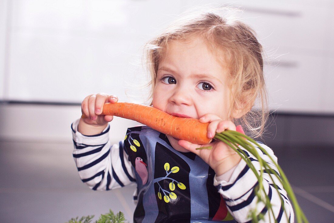 A little girl biting into a large carrot