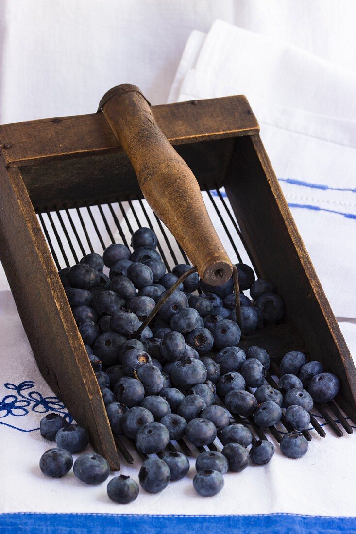 Blueberries in a blueberry rake on an embroidered cloth