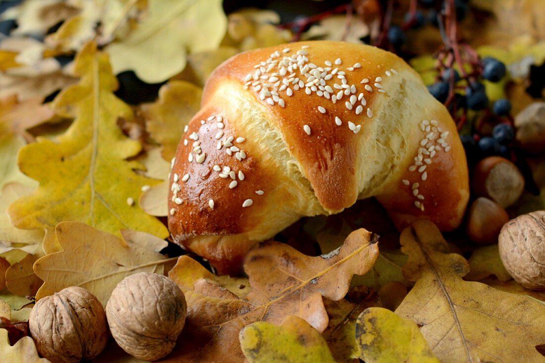 A sesame seed roll on autumnal leaves