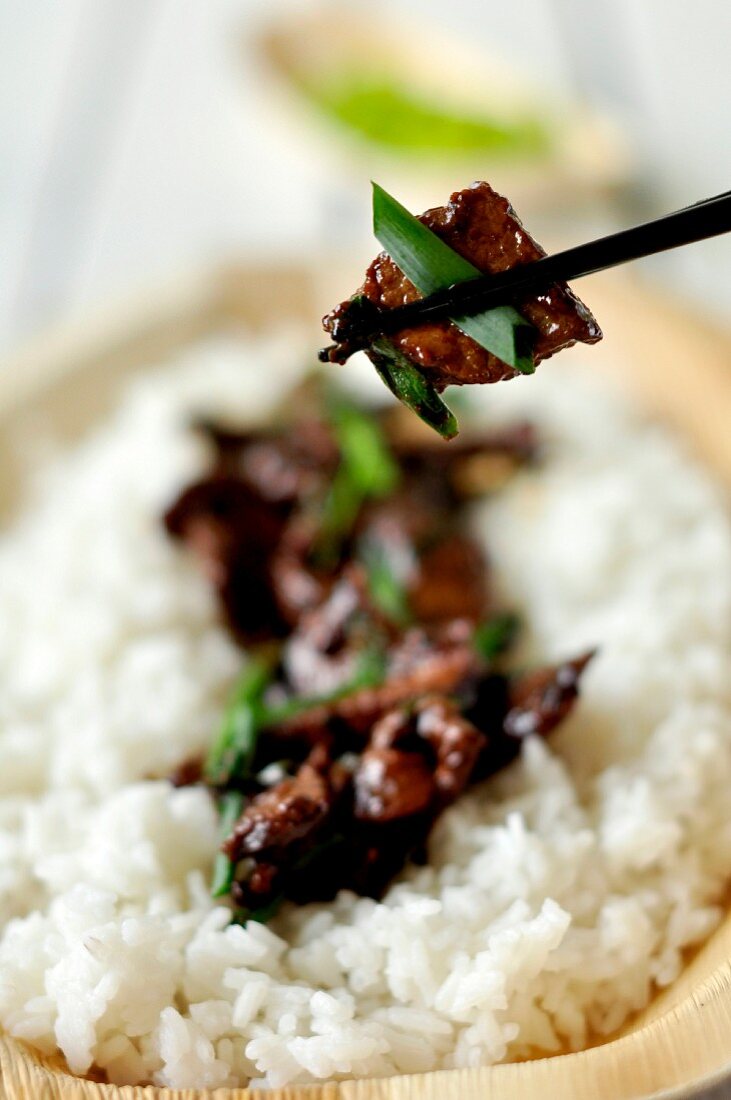 Beef with spring onions on a bed of rice (China)