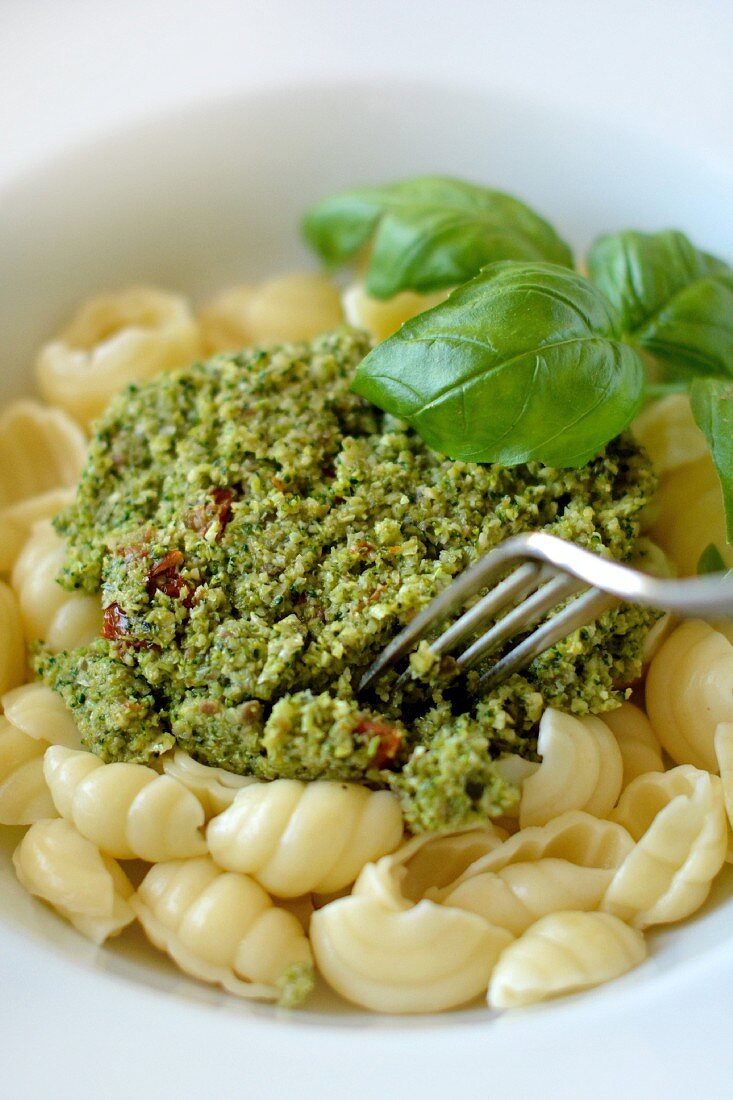 Shell pasta with broccoli pesto