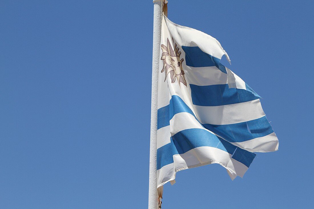 The Uruguay flag