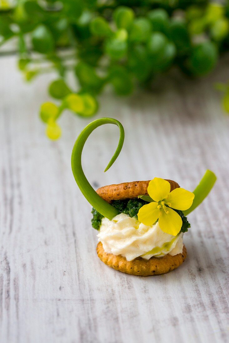 Cracker mit Frischkäse, Pesto, Frühlingszwiebel und Rucolablüte