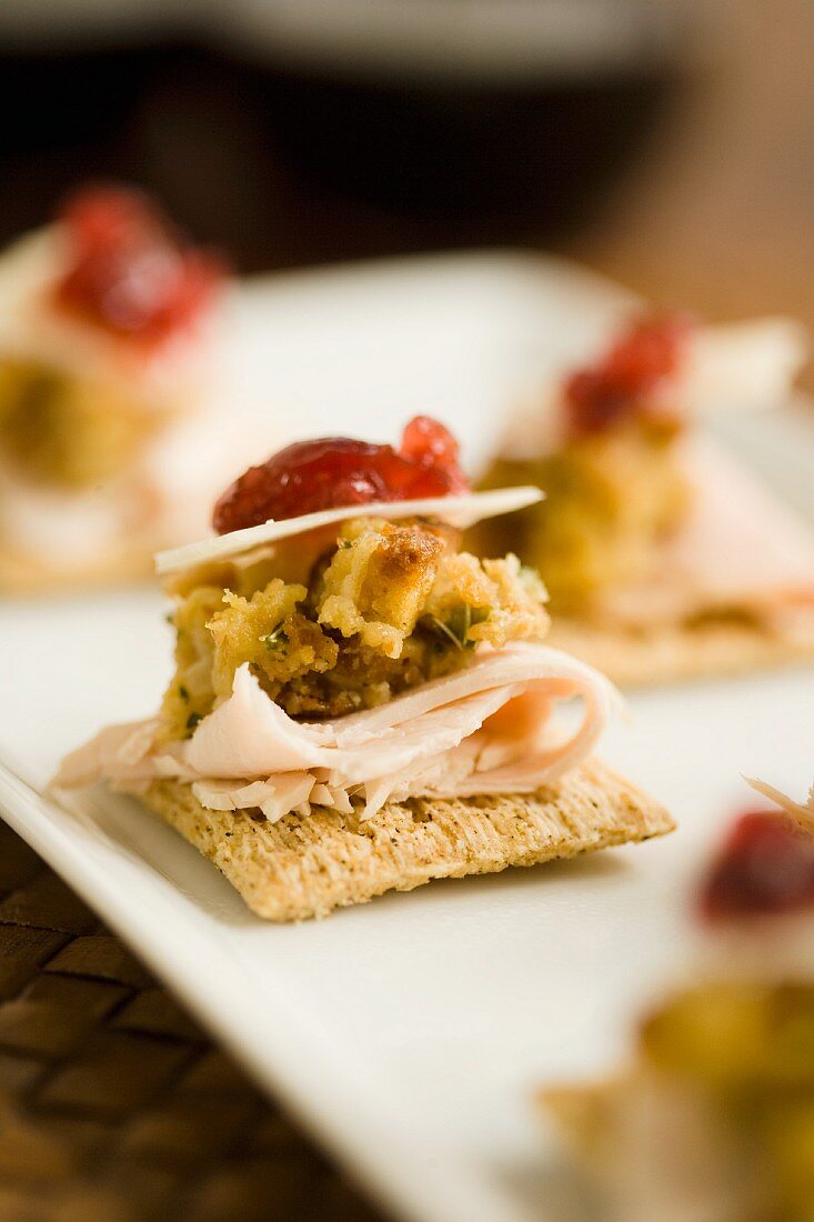 Crackers with turkey ham, vegetable cream, cheese and cranberry sauce