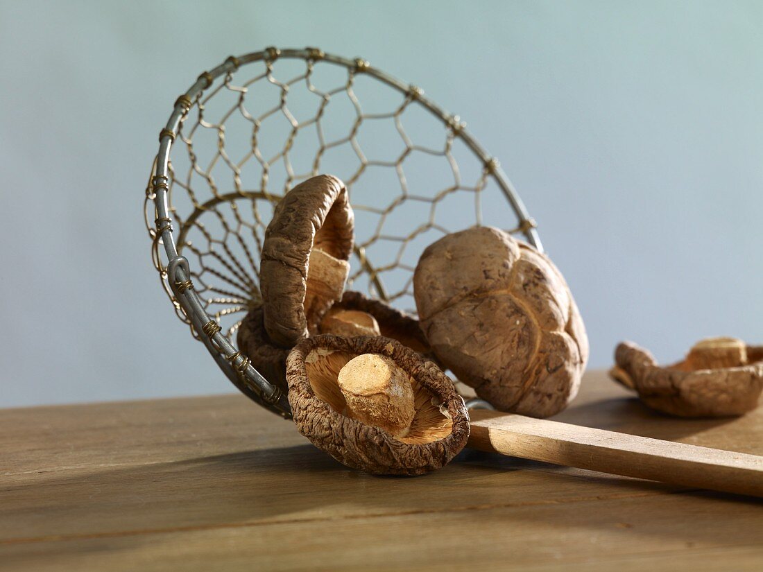 Dried shiitake mushrooms on a draining spoon