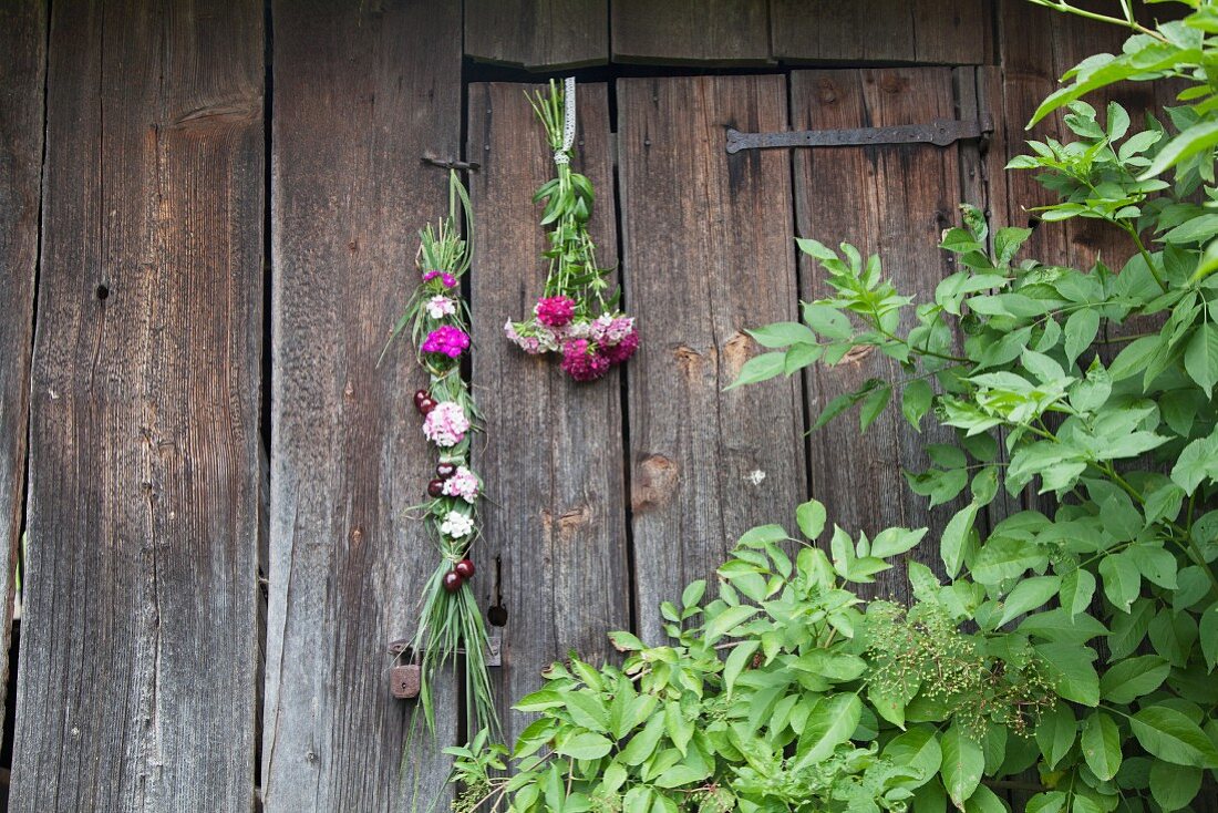 Geflochtener Blumenzopf und Bartnelkenstrauss an Holzbretterwand aufgehängt