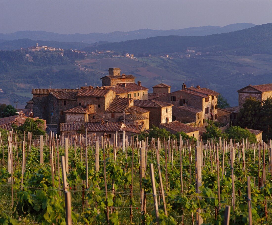 Weingut des Castello di Volpaia vor Radda, Chianti Classico