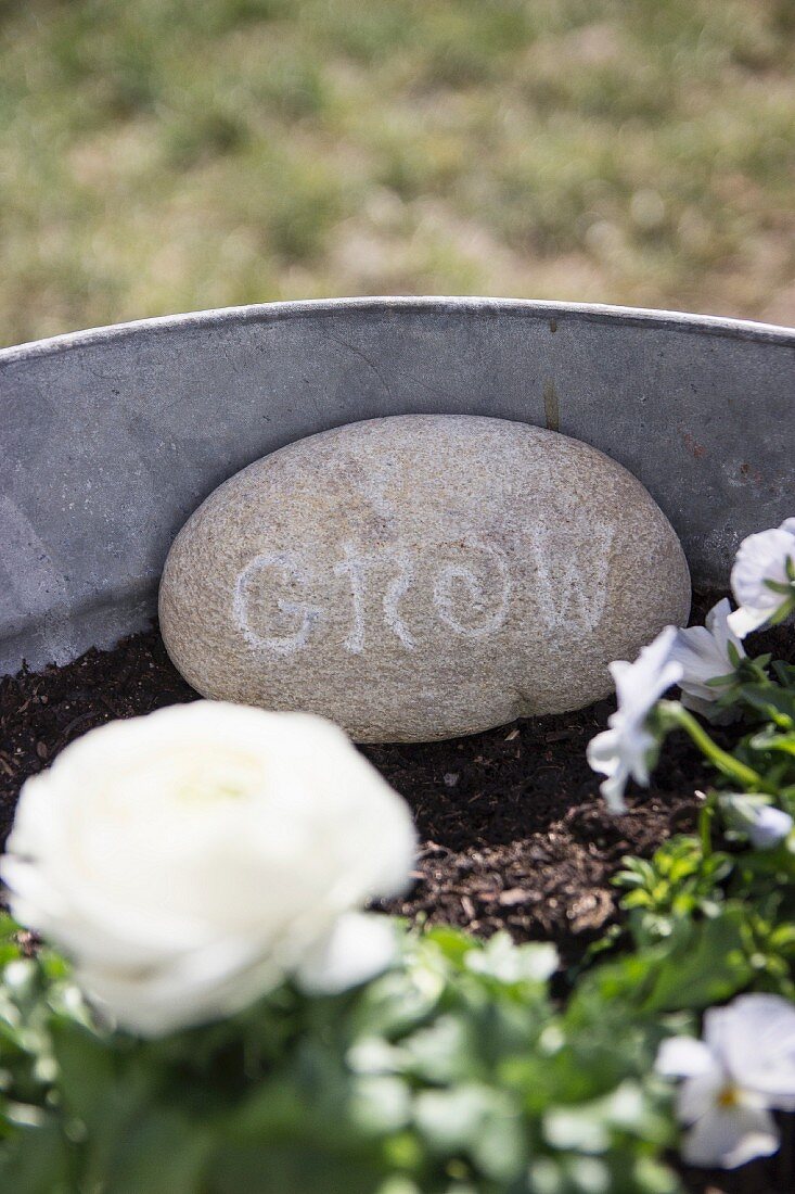 White lettering on pebble and white rose in galvanised metal planter