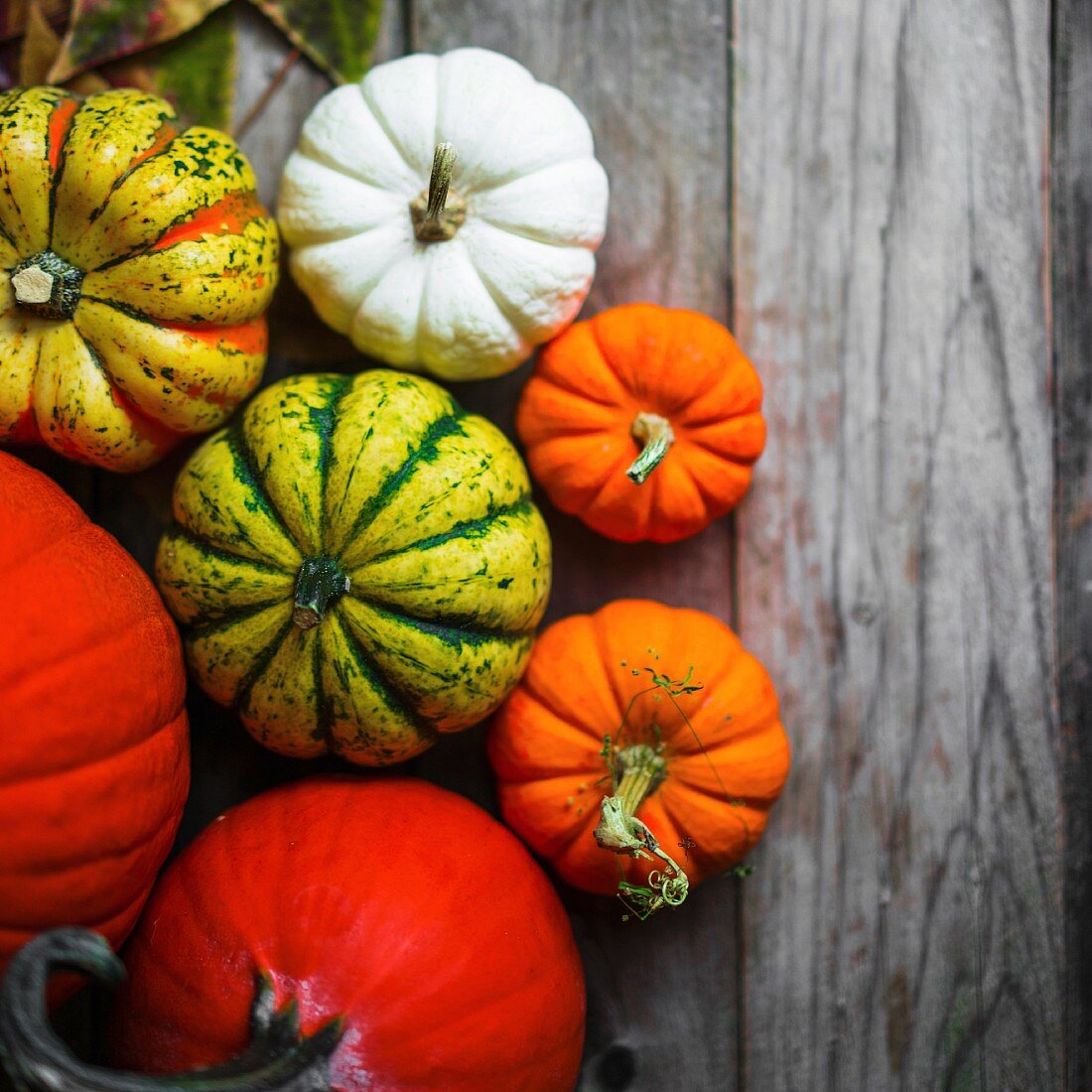 Bright pumpkins and autumn leaves on rustic wooden surface
