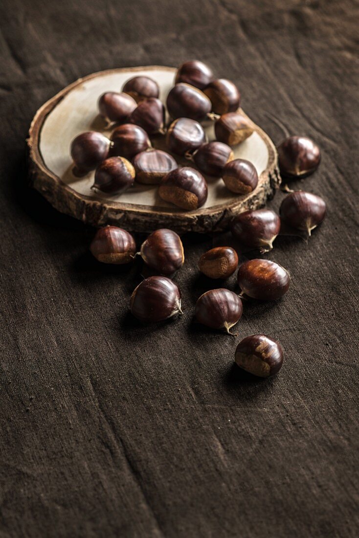 Chestnuts on a slice of bark