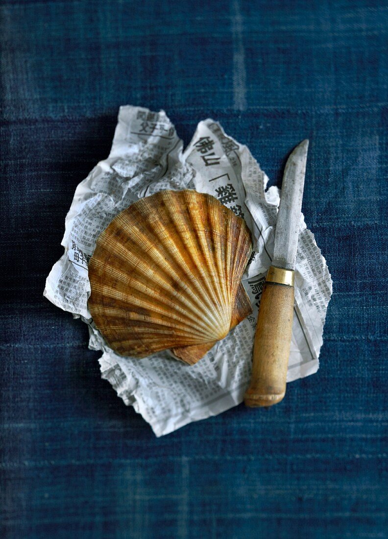A scallop on a piece of newspaper with a knife