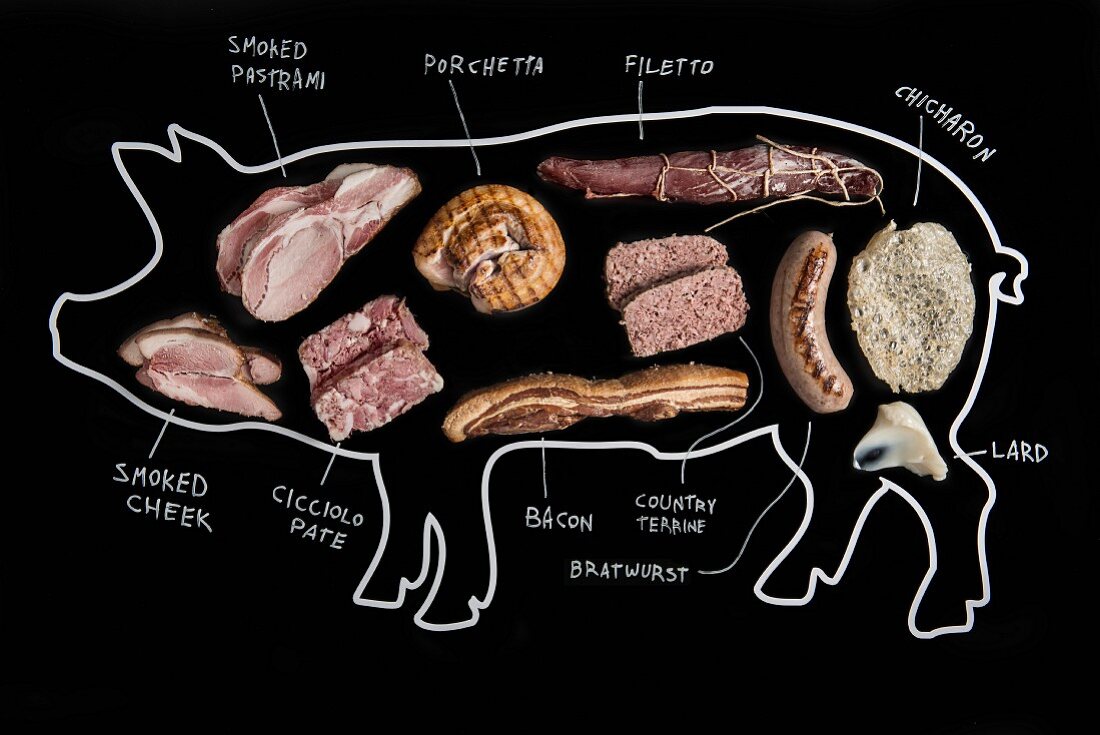 Illustration von einem Schwein mit verschiedenen Fleischteilen und Produkten