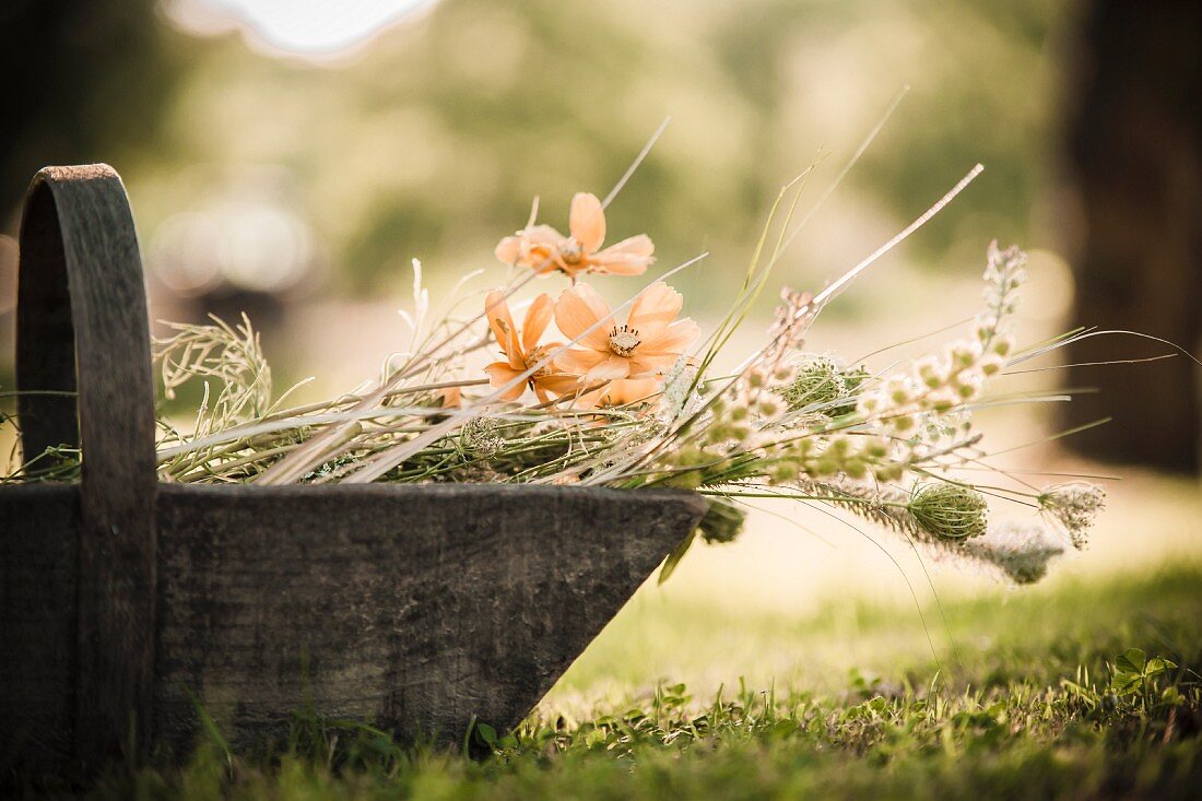 Wildflowers in wooden trug