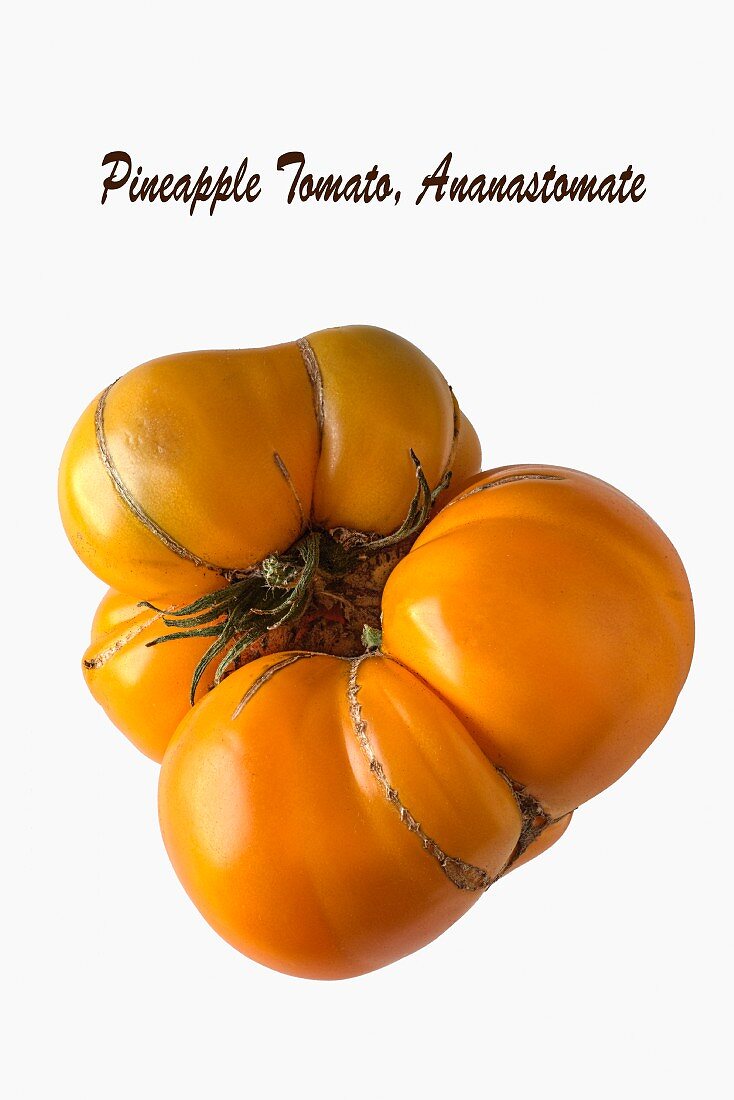 A labelled pineapple tomato