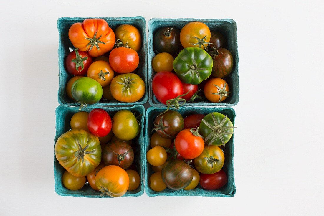 Heirloom tomatoes in blue cardboard punnets